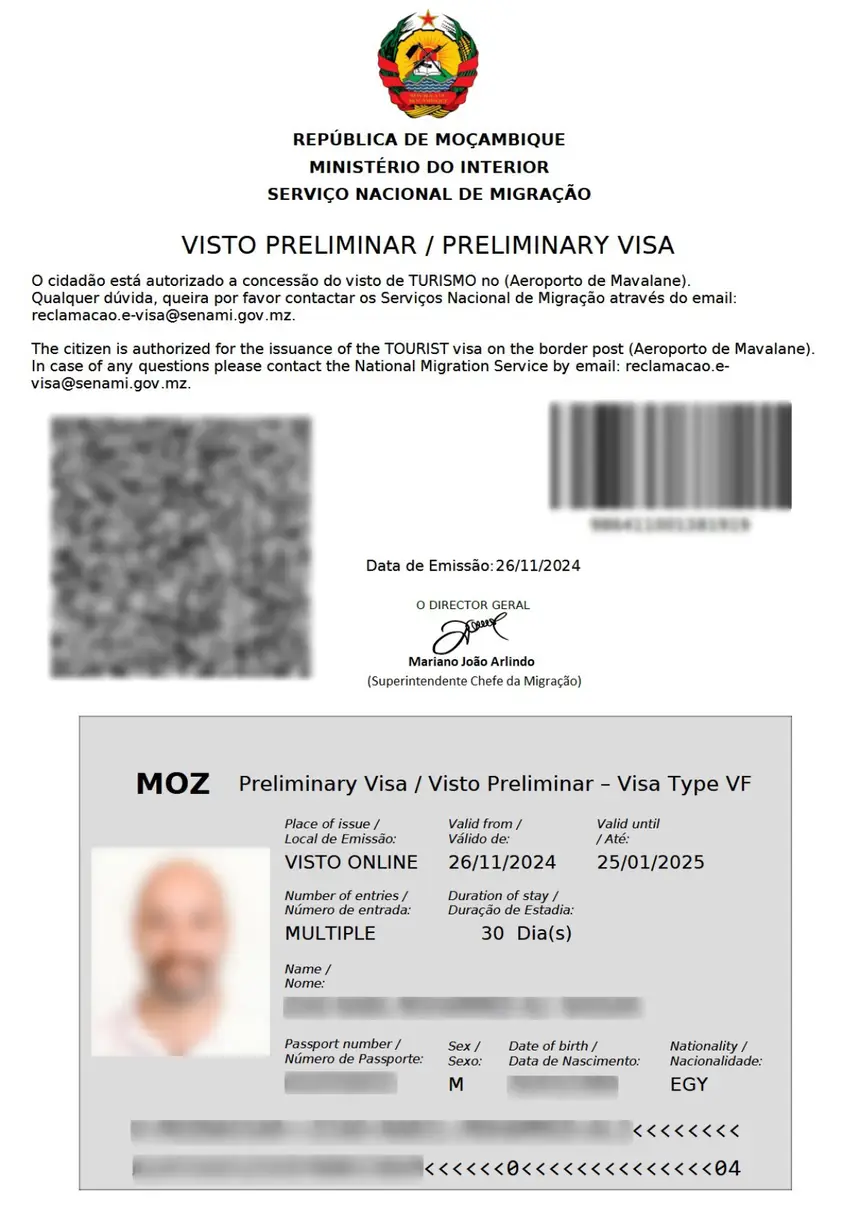 Sample Mozambique preliminary eVisa
